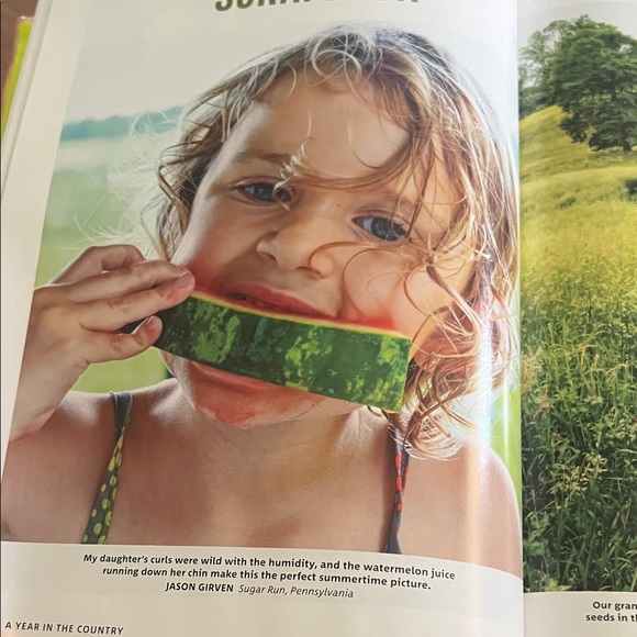 #0969**Sunflower Themed Home Accent Book - Picture 4 of 14